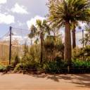 Perth Zoo Wetlands