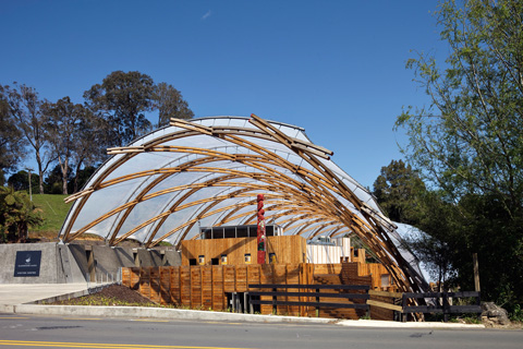 Timber Gridshell and ETFE Pillows