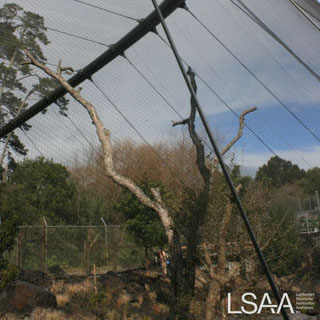Auckland Zoo Aviaries Enclosures