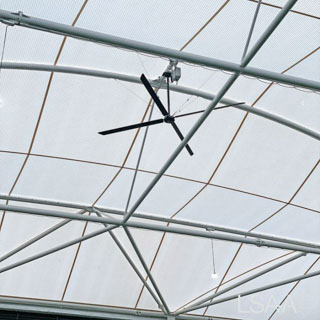 Whitten Oval Project - Interior View of roof